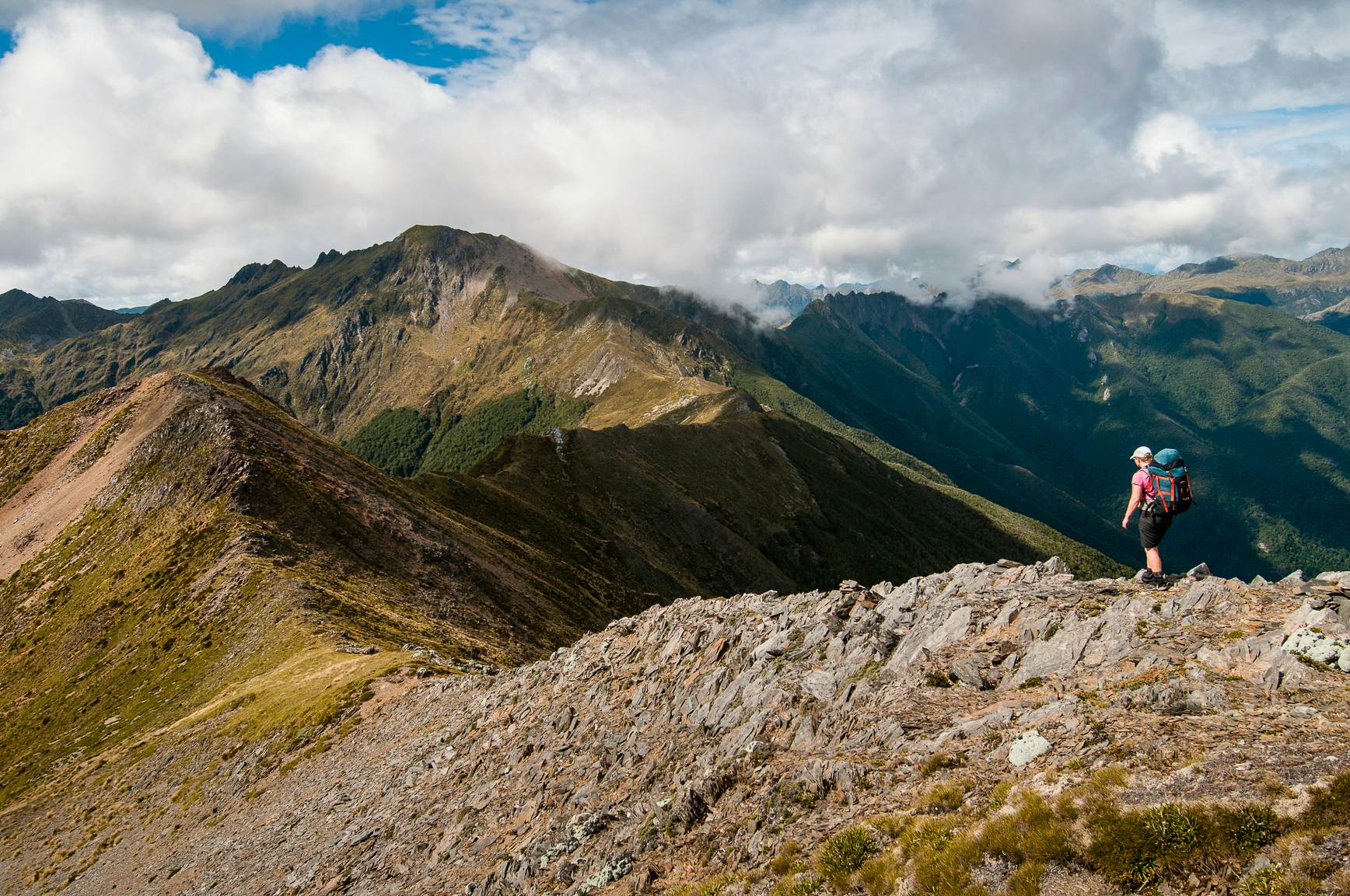 Woman walking along the Douglas Range, Kahurangi National Park, New Zealand.